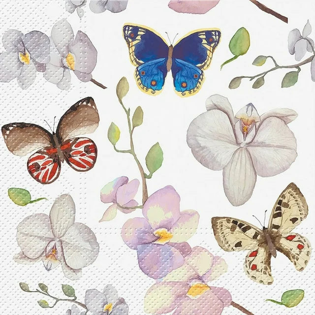Abbott Luncheon Orchid Butterfly Napkins