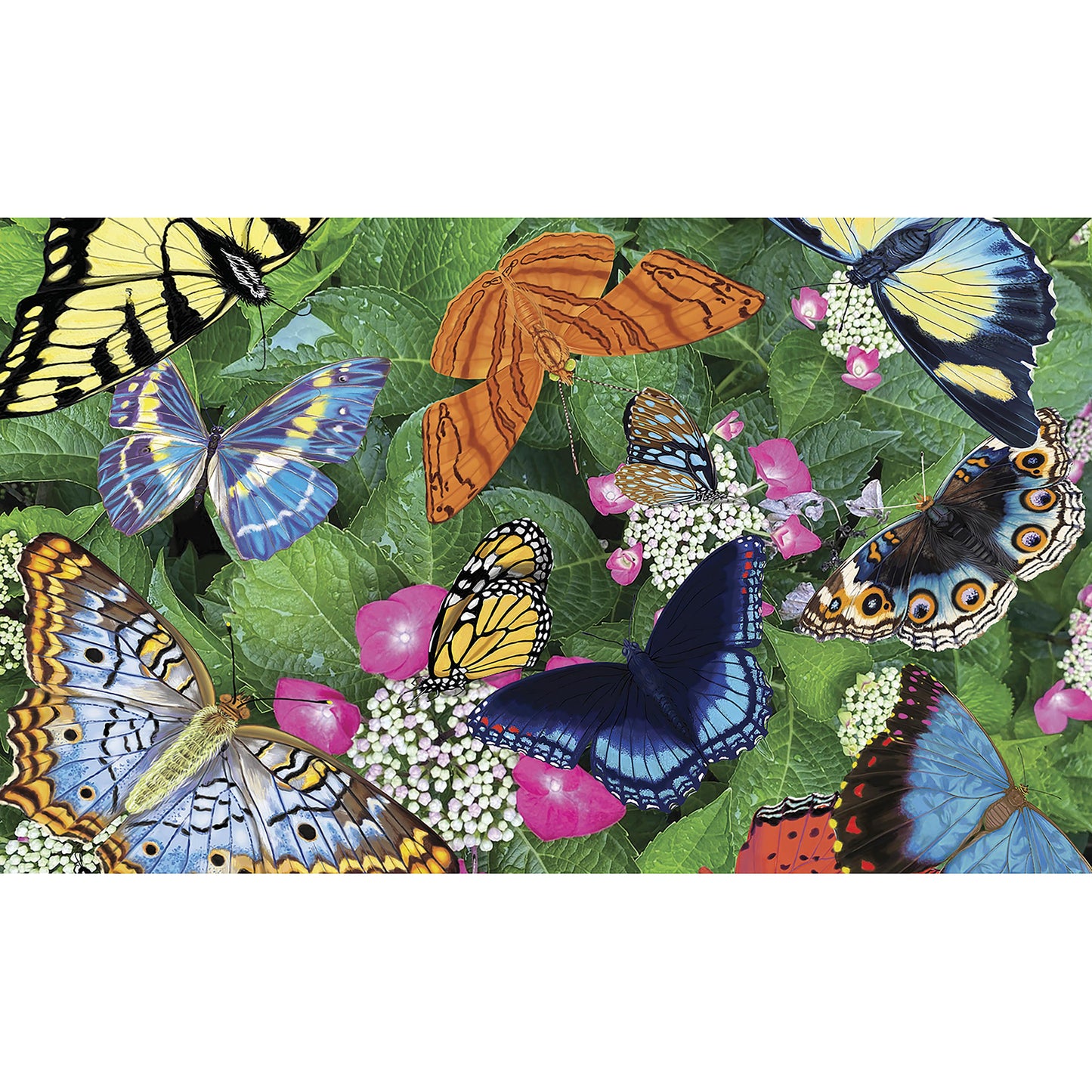Evergreen Hello Butterflies Washable Indoor/ Outdoor Mat