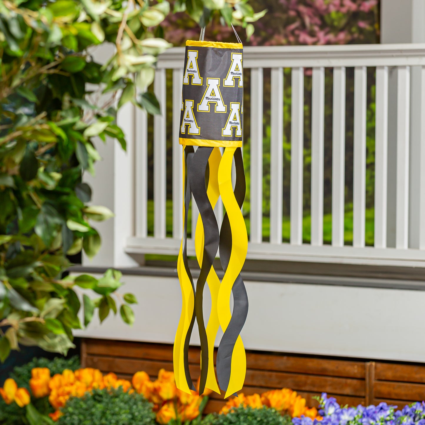 Appalachian State University Woodsock