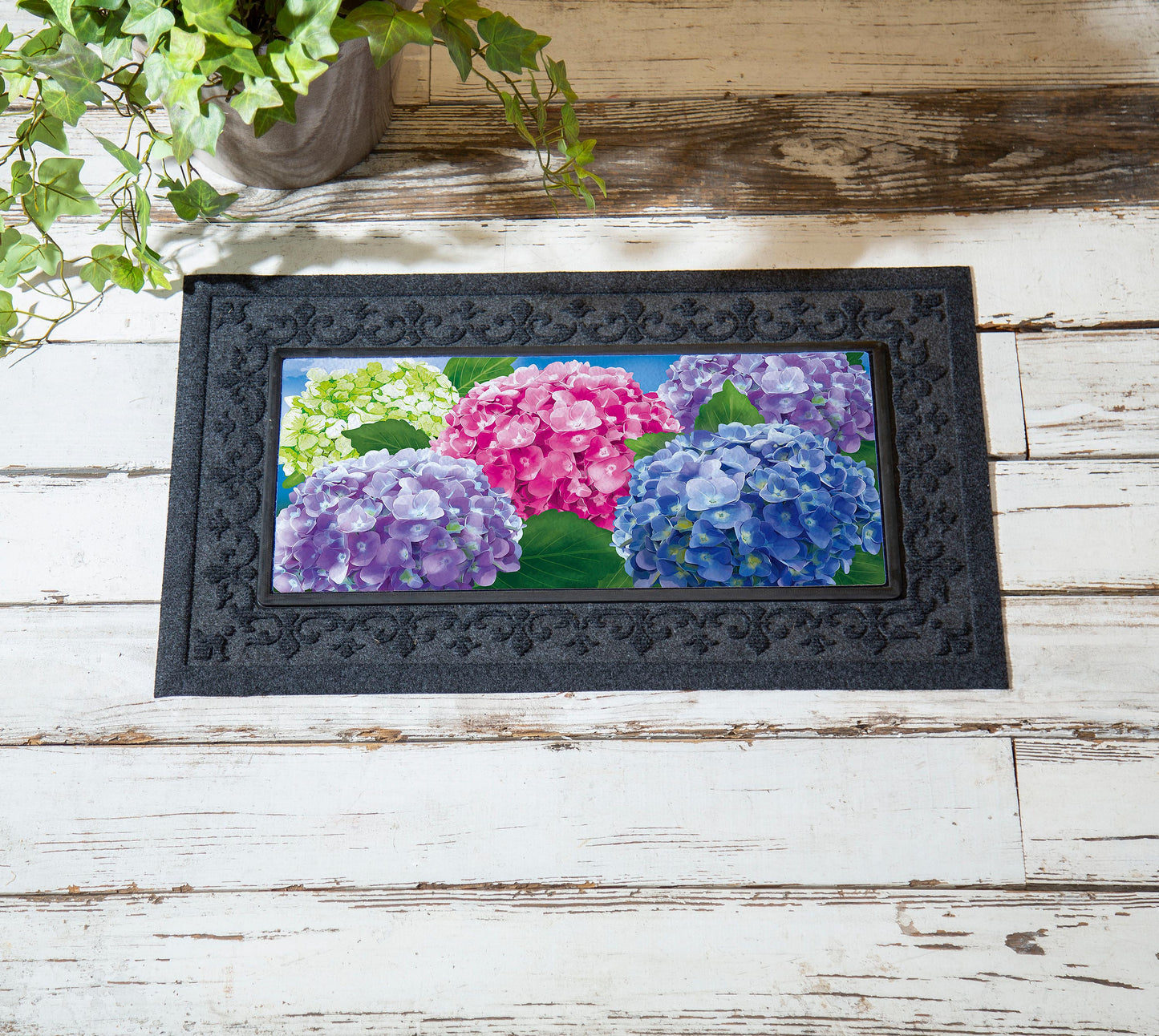 Evergreen Multicolor Hydrangea Sassafras Switch Mat