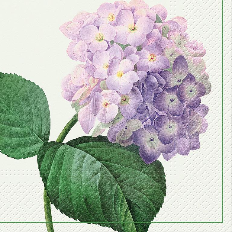Abbott Luncheon Hydrangea Napkins