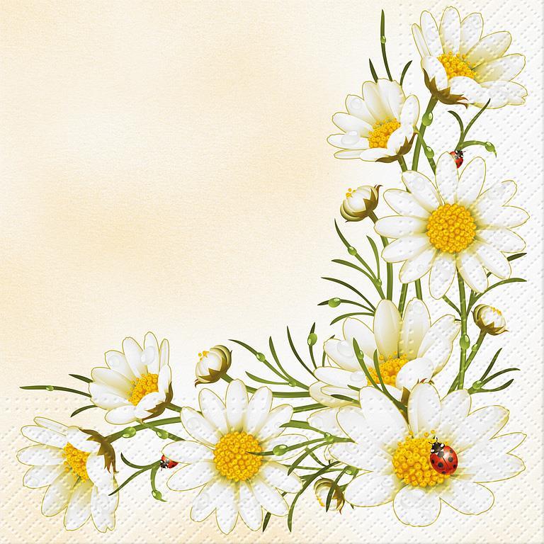 Abbott Luncheon Bouquet of Daisies Napkins