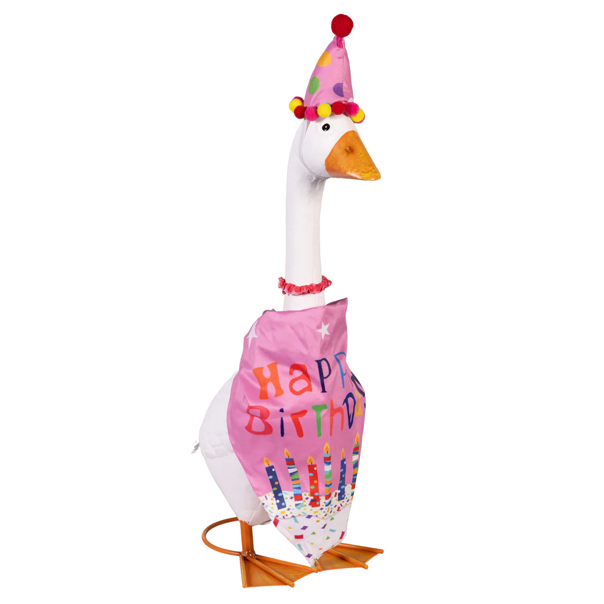 Evergreen Porch Goose Birthday Girl Outfit