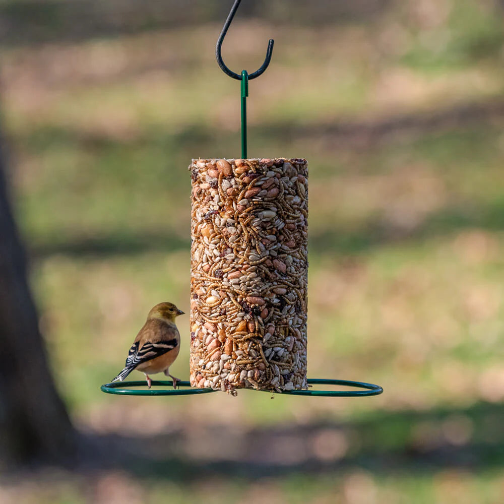 Mr. Bird Cylinder Bird Feeder