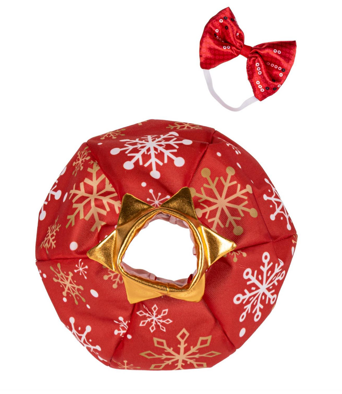Evergreen Porch Goose Ornament Outfit