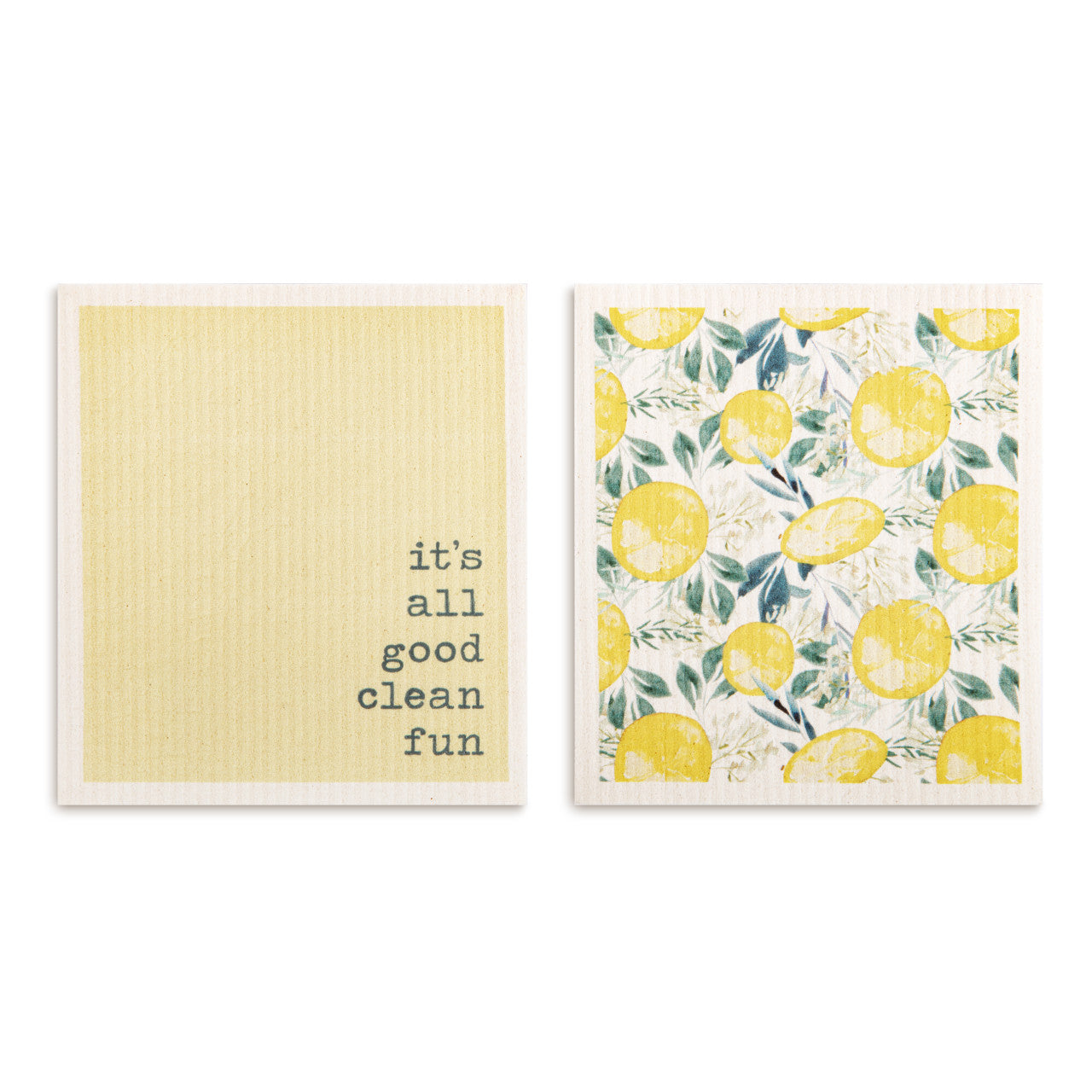 Demdaco Biodegradable Dishcloth Set of 2