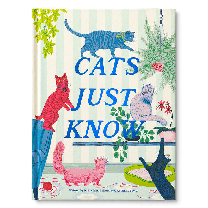 Cats Just Know Book