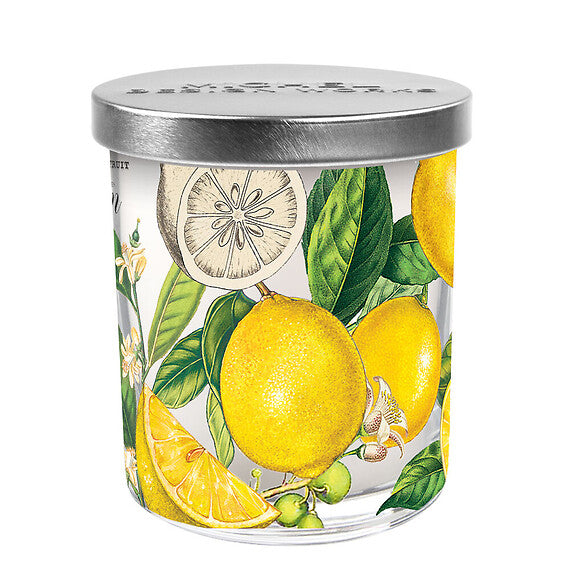 Michel Design Works Lemon Basil Jar Candle with Lid