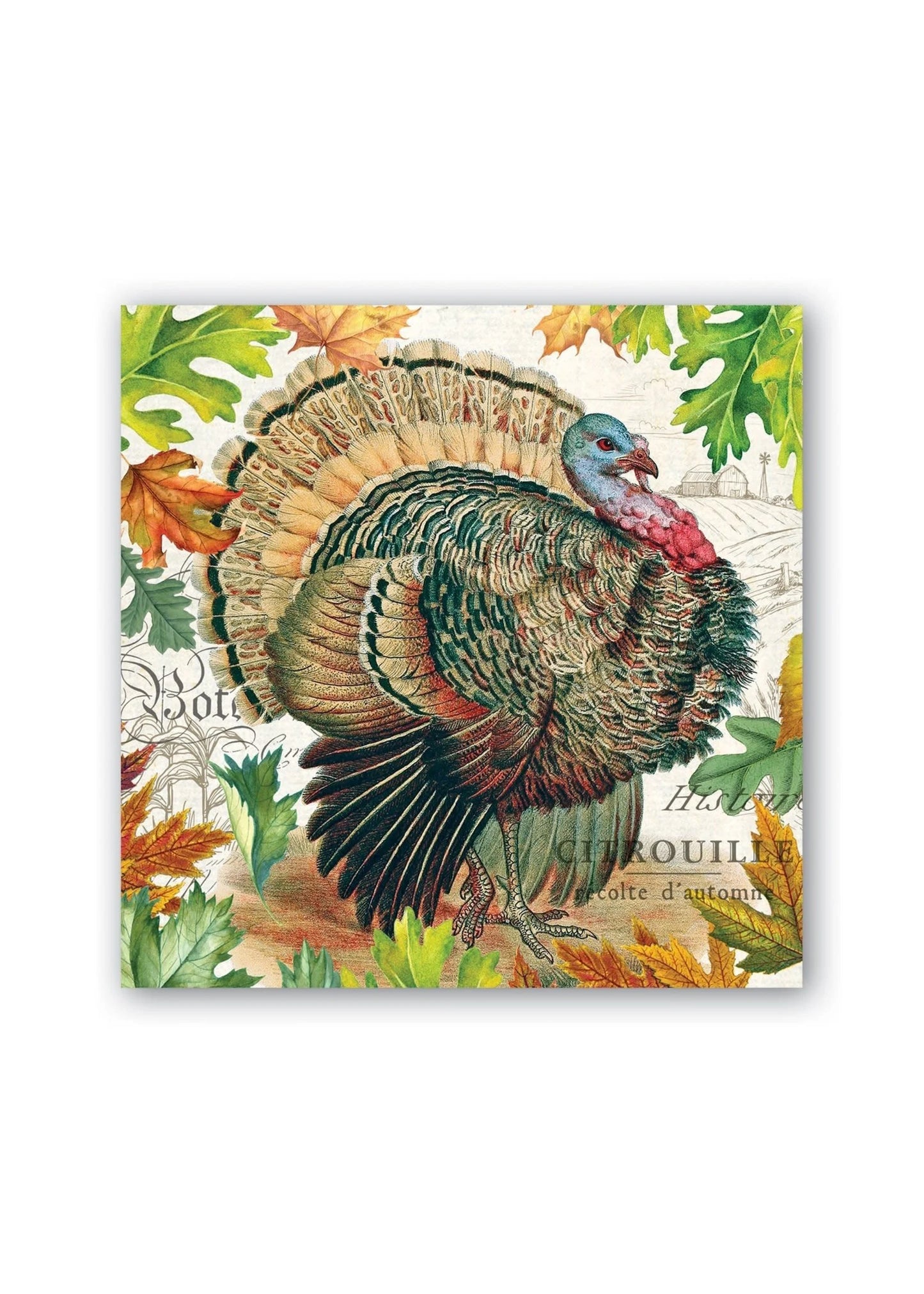 Michel Designs Works Fall Harvest Cocktail Napkins