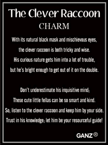Ganz The Clever Raccoon Charms