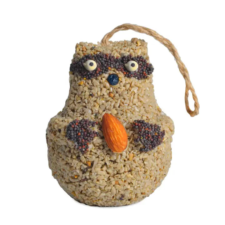 Mr Bird Woodland Friends - Raccoon