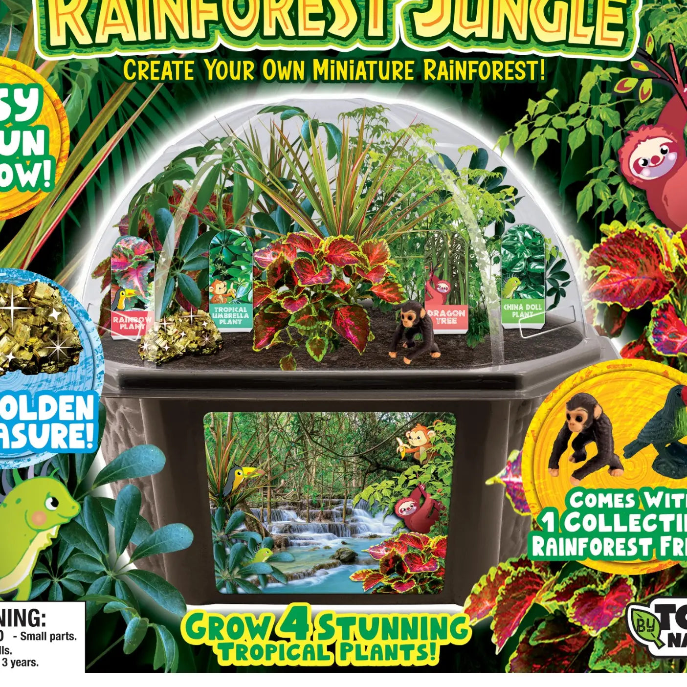Silver Circle Tropical Rainforest Jungle