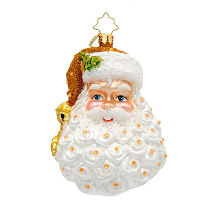 Christopher Radko Birthstone Santa November