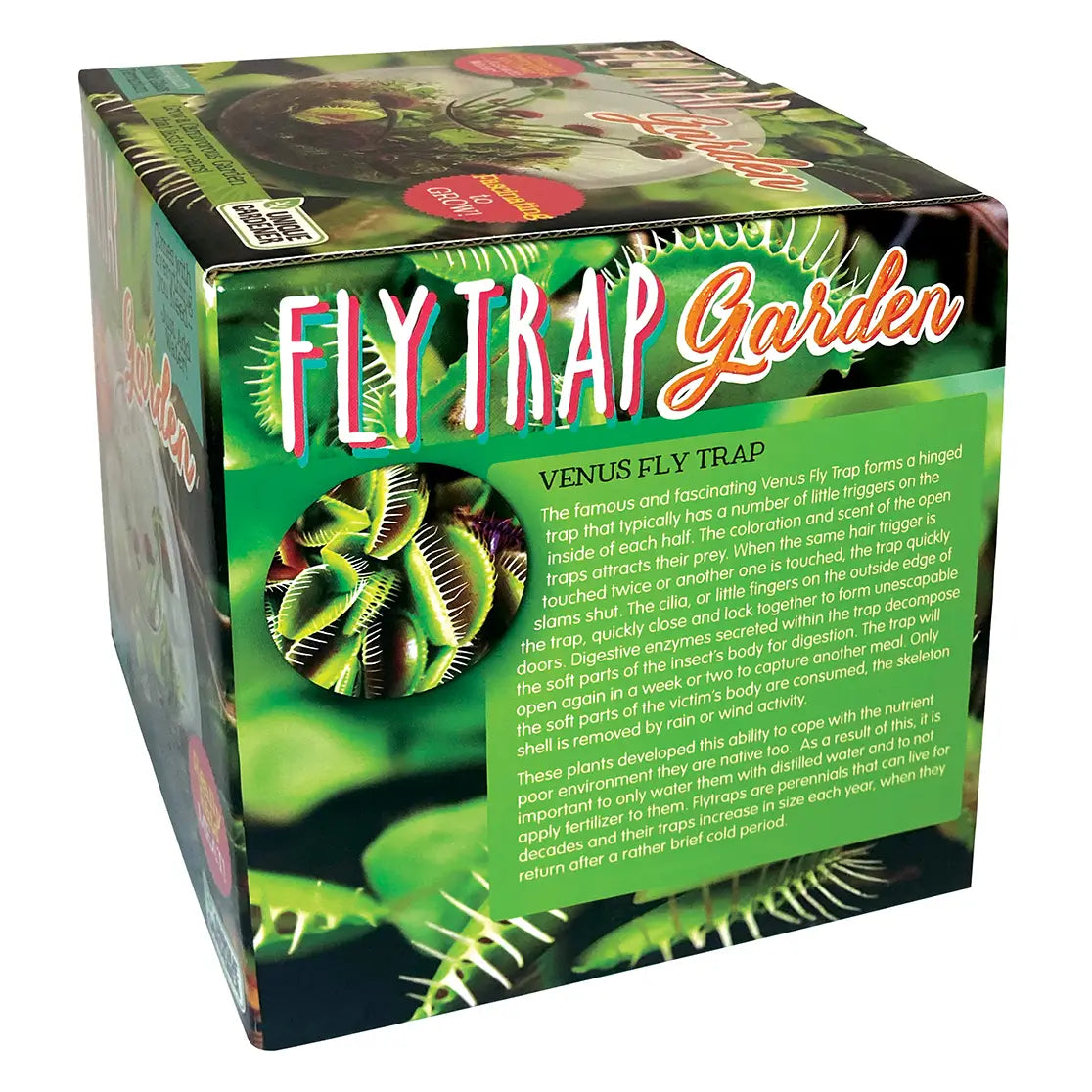 Silver Circle Fly Trap Glass Terrarium Garden
