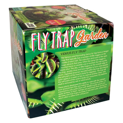 Silver Circle Fly Trap Glass Terrarium Garden