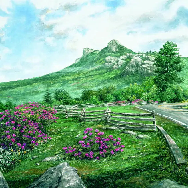 Heritage Puzzles - NC Landmarks