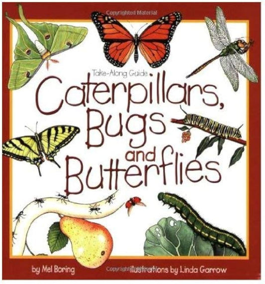 Caterpillars, Bugs and Butterflies by Mel Boring