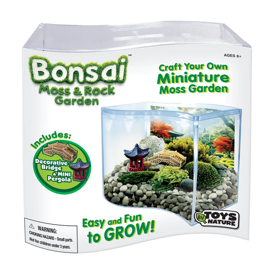Silver Circle Bonsai Moss & Rock Garden