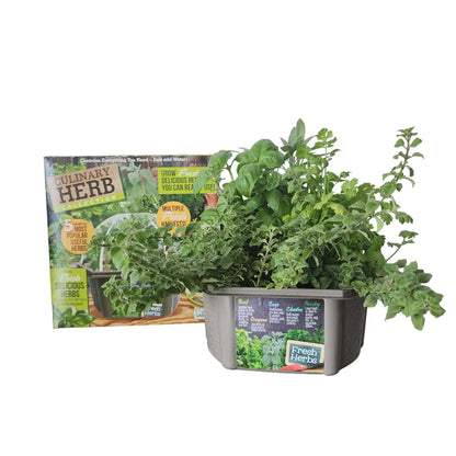 Silver Circle Culinary Herb Collection