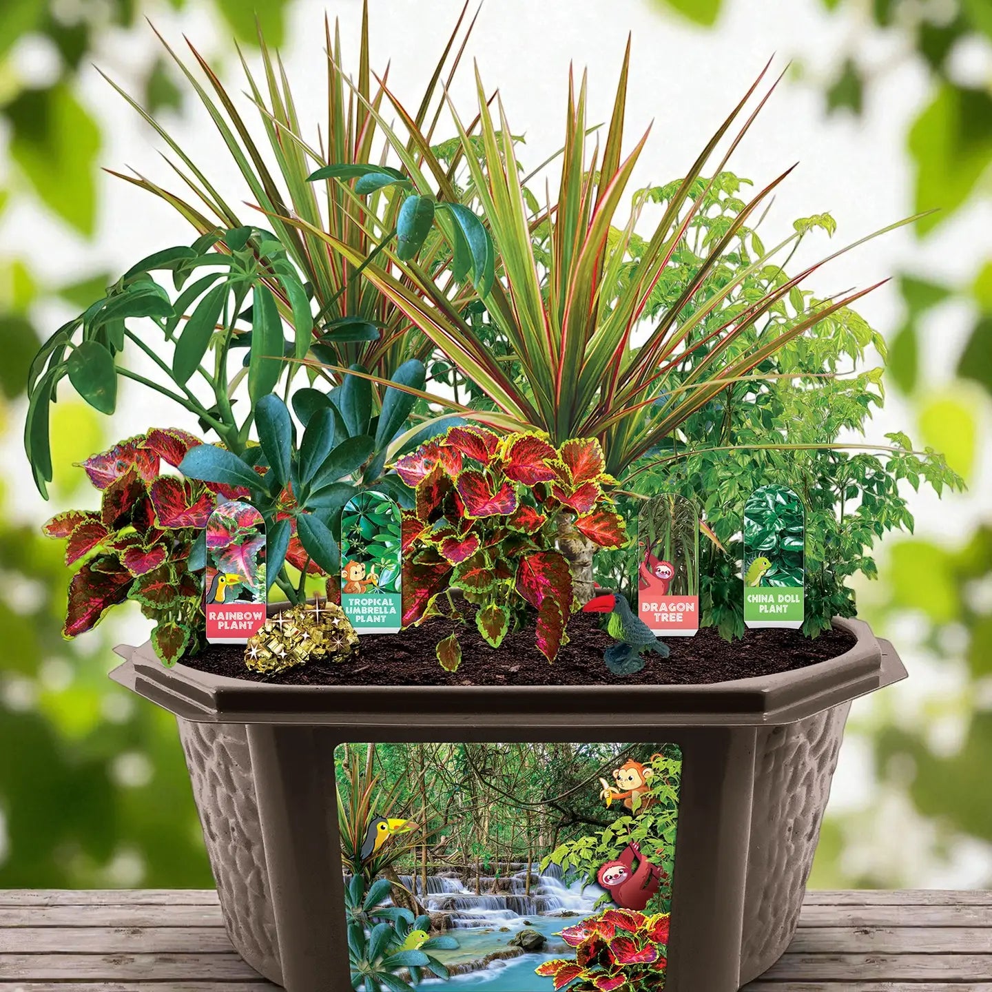 Silver Circle Tropical Rainforest Jungle