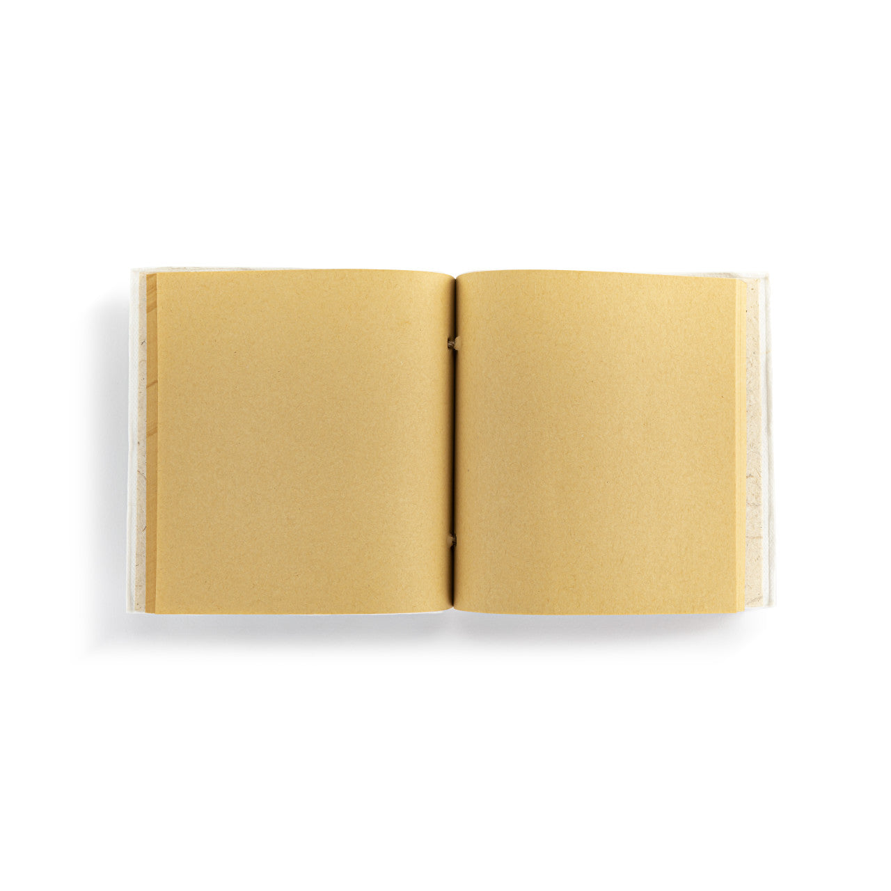 Demdaco Cardinal Paper Mache Journal