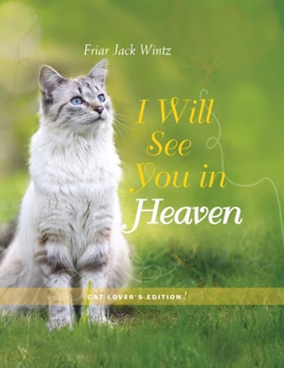 I Will See You in Heaven Cat Edition