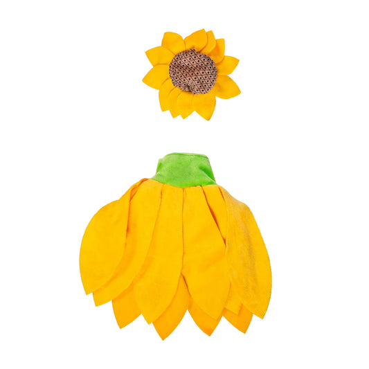Evergreen Porch Goose Sunflower Radiance Outfit