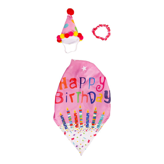 Evergreen Porch Goose Birthday Girl Outfit