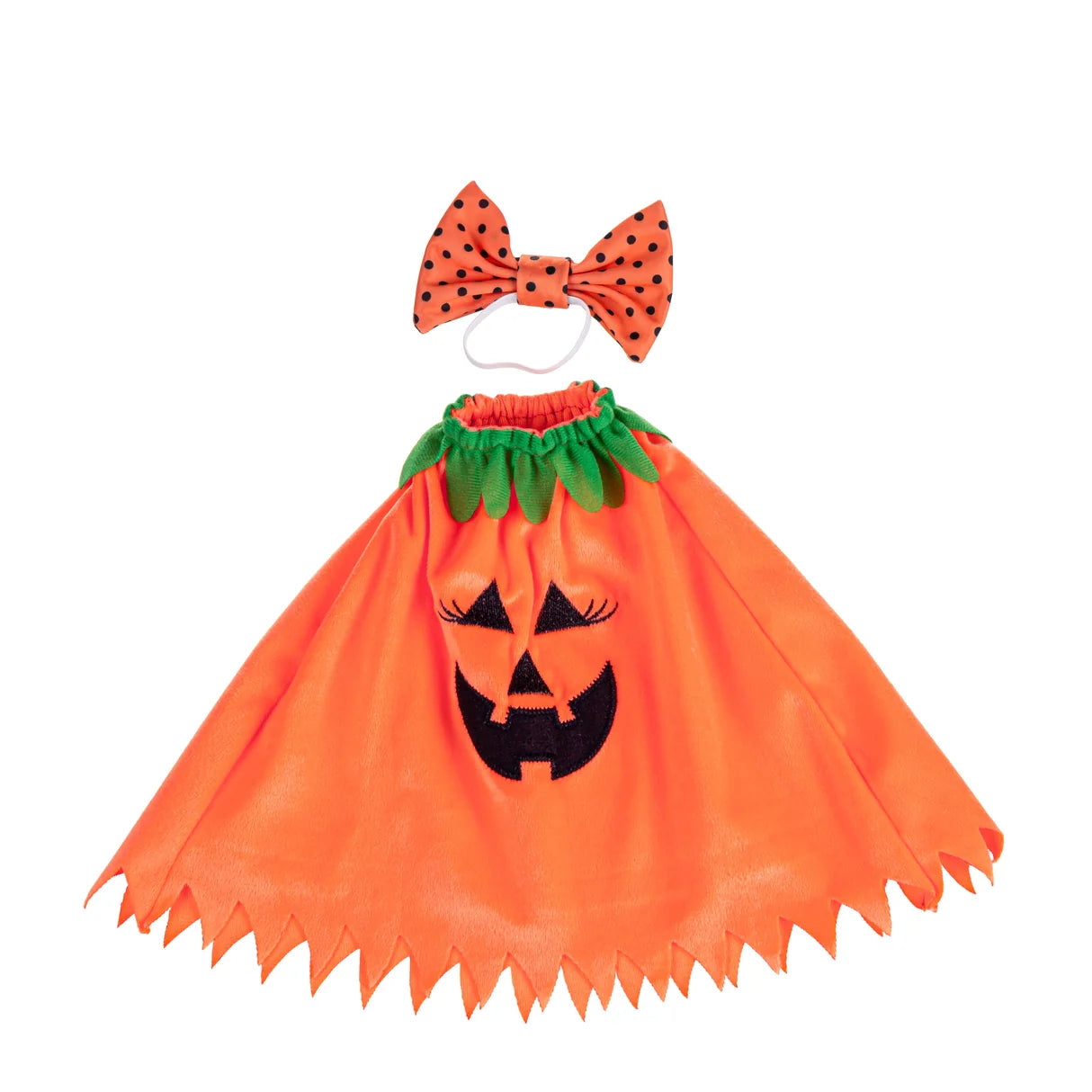Evergreen Porch Goose Pumpkin Poncho Outfit