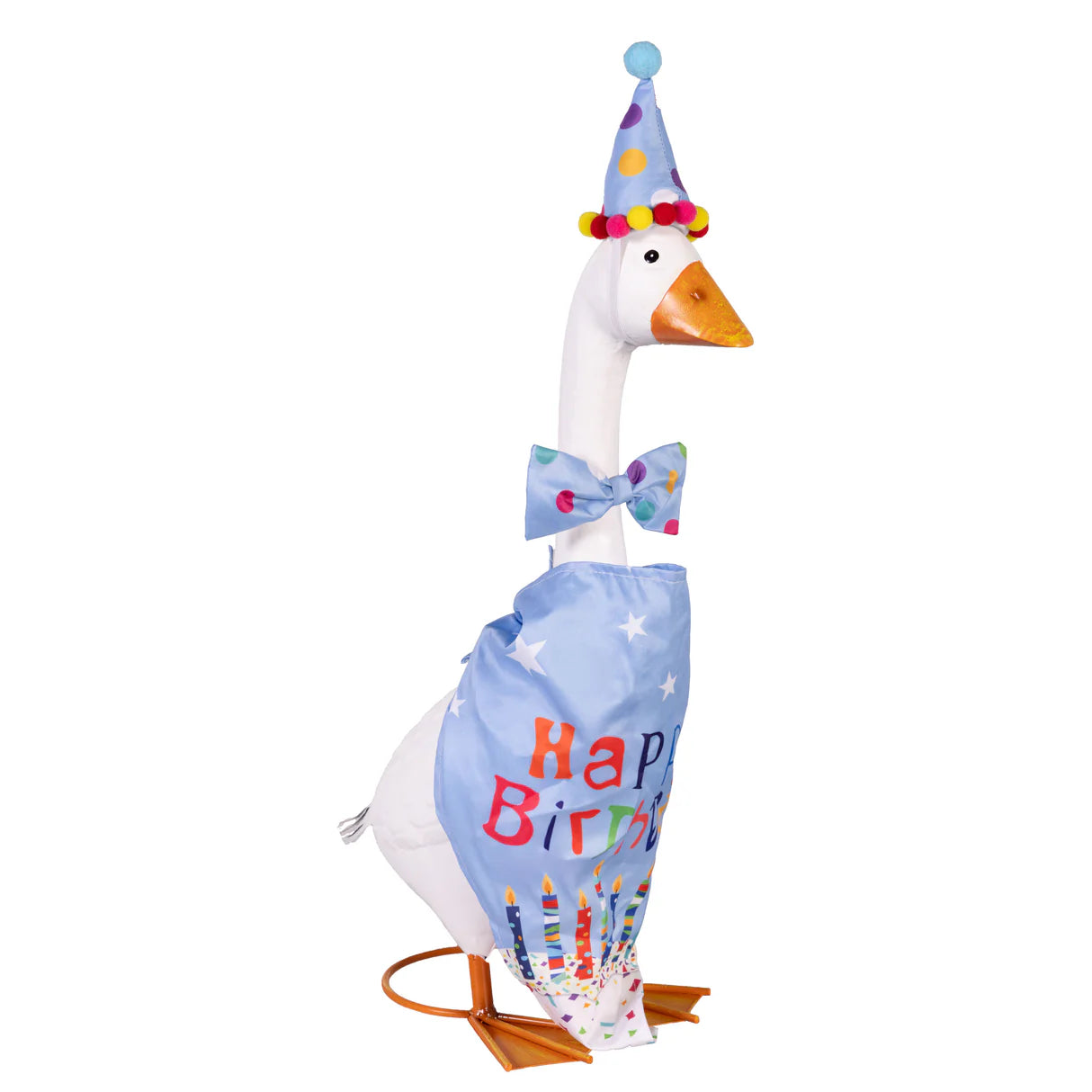 Evergreen Porch Goose Birthday Boy Outfit