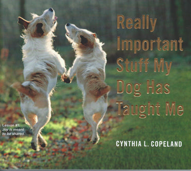 Really Important Stuff My Dog Has Taught Me by Cynthia L. Copeland