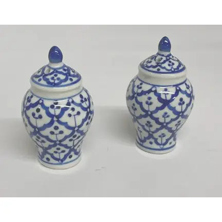 Sea Island Imports Ginger Jar Salt and Pepper Shaker Set