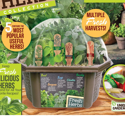 Silver Circle Culinary Herb Collection