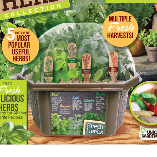 Silver Circle Culinary Herb Collection