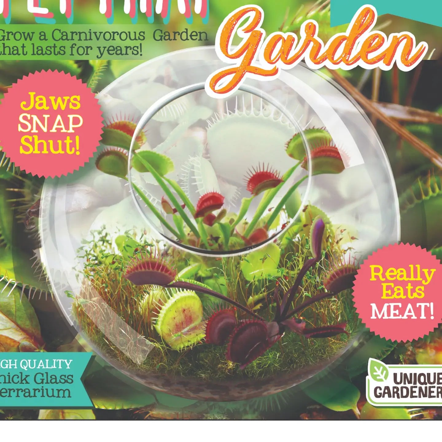 Silver Circle Fly Trap Glass Terrarium Garden