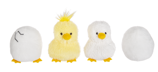 Chicken Learn and Grow Set