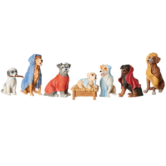 Roman Canine Pageant Crèche Set with Display Box (7 psc)