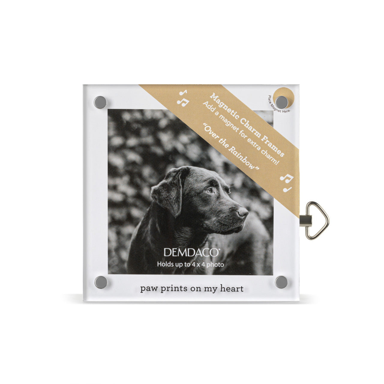 Demdaco Paw Prints on My Heart Acrylic Musical Frame