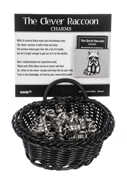 Ganz The Clever Raccoon Charms