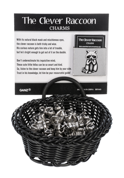 Ganz The Clever Raccoon Charms