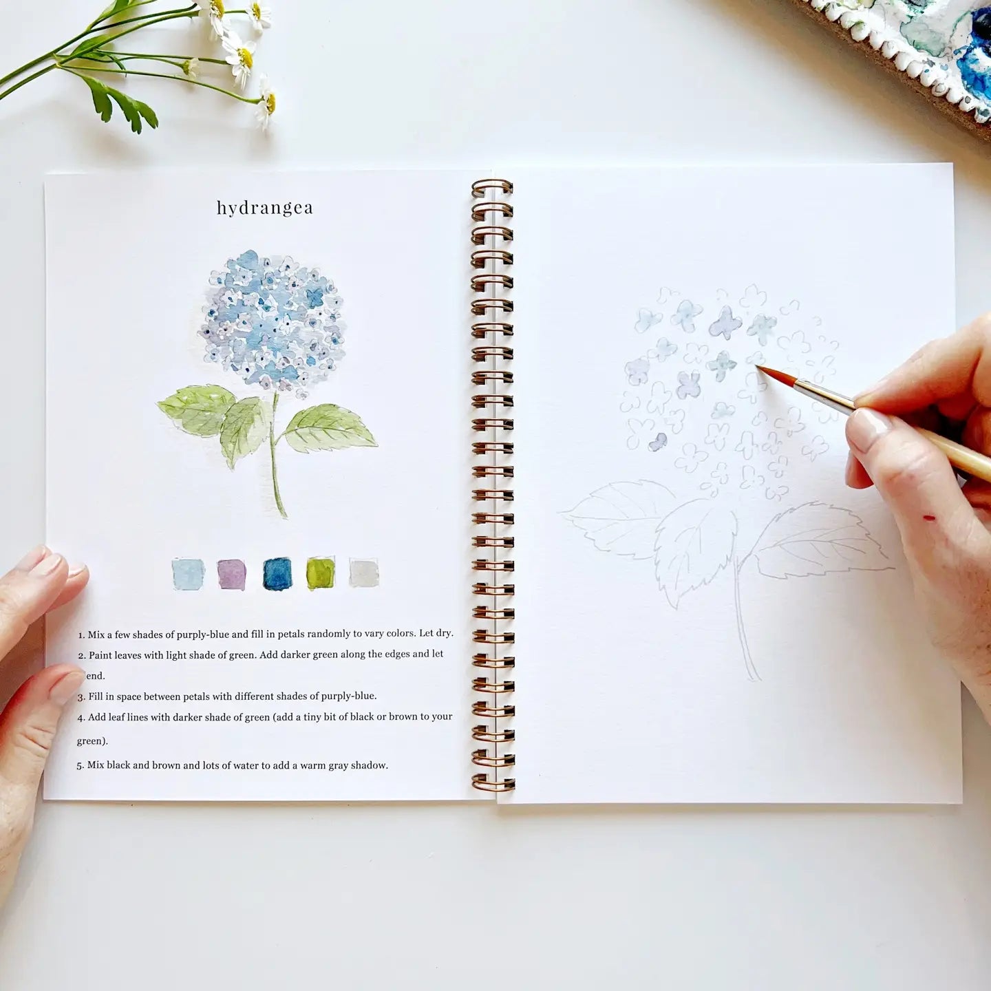 Emily Lex Studio FLowers Watercolor Workbook