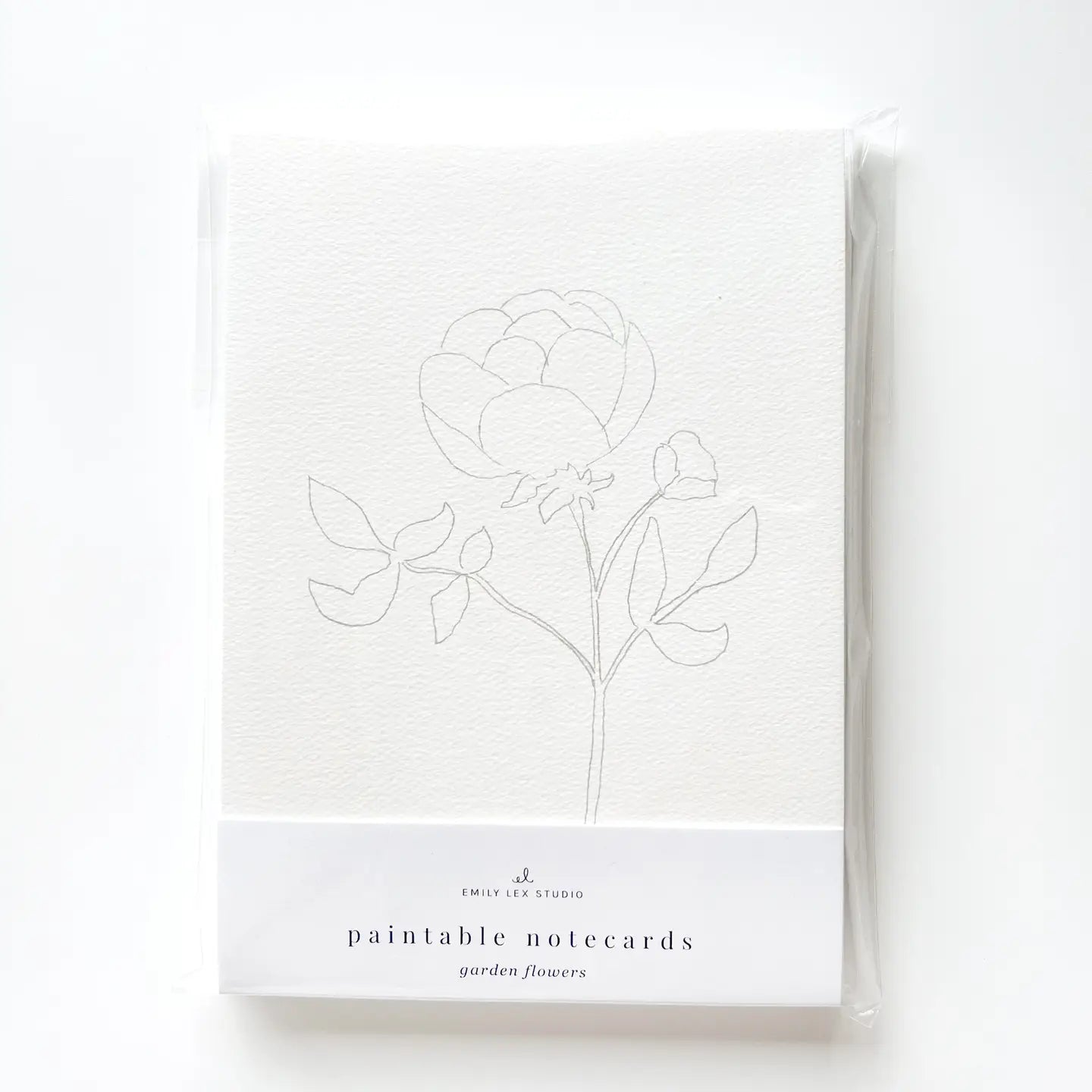 Emily Lex Studio Garden Flowers Paintable Notecards