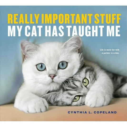 Really Important Stuff My Cat Has Taught Me by Cynthia L. Copeland